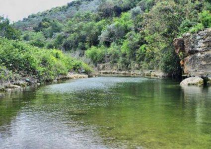 الاحتلال يسيطر على 36 منطقة في الضفة