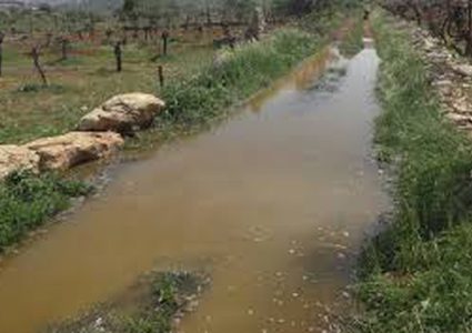 مستوطنون يغرقون اراضي المواطنين شرق نابلس بالمياه العادمة