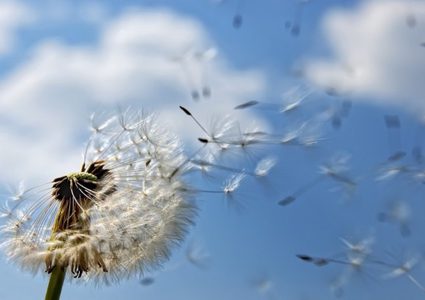 الطقس: الحرارة أعلى من معدلها العام بحدود 5 درجات