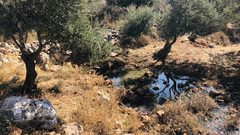 مستوطنون يغرقون أراضي المواطنين في قرية دير الحطب بالمياه العادمة
تصوير : القعقاع عودة