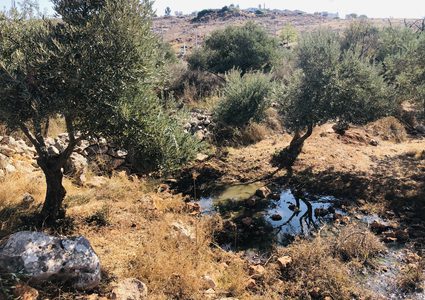 مستوطنون يغرقون أراضي المواطنين في قرية دير الحطب بالمياه العادمة
تصوير : القعقاع عودة