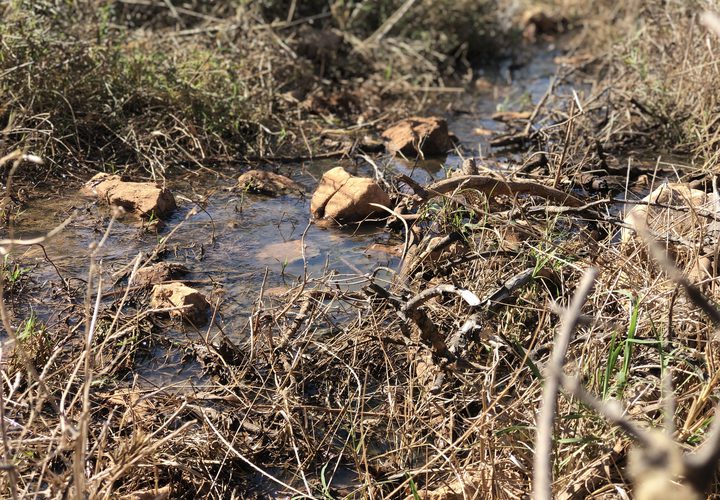 مستوطنون يغرقون أراضي المواطنين في قرية دير الحطب بالمياه العادمة
تصوير : القعقاع عودة