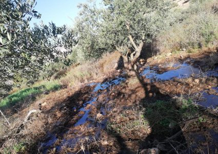 مستوطنون يغرقون أراضٍ شمال نابلس بالمياه العادمة