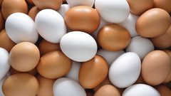 كوريا الجنوبية.. السجن لمدة عام بحق سارق البيض الفقير !