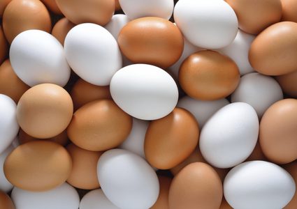 كوريا الجنوبية.. السجن لمدة عام بحق سارق البيض الفقير !