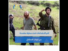 الاحتلال ومستوطنيه ينغصان فرحة المواطن الفلسطيني بموسم الزيتون