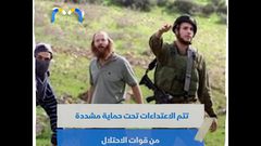 الاحتلال ومستوطنيه ينغصان فرحة المواطن الفلسطيني بموسم الزيتون