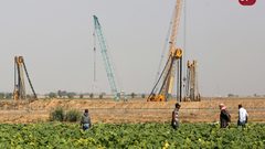 مزارعون من قطاع غزة يعملون في حقولهم وسط تواجد لجرافات الاحتلال