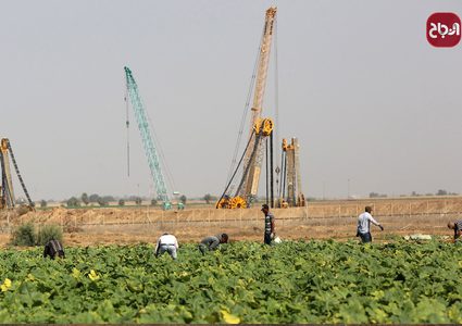 مزارعون من قطاع غزة يعملون في حقولهم وسط تواجد لجرافات الاحتلال