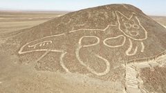 البيرو.. اكتشاف رسم تاريخي لقط عملاق في صحراء نازكا