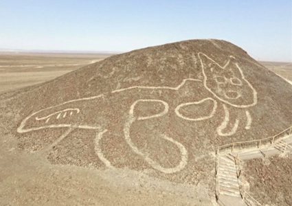 البيرو.. اكتشاف رسم تاريخي لقط عملاق في صحراء نازكا