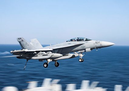 مقاتلة تابعة للبحرية الأمريكية تتحطم في ولاية كاليفورنيا