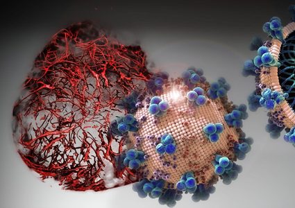 تحذير.. شرب الكحول يضعف الأجسام المضادة لكورونا