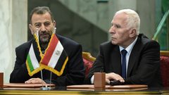 محلل سياسي: إتمام المصالحة يتعلق بإنجاز بعض القضايا الخلافية