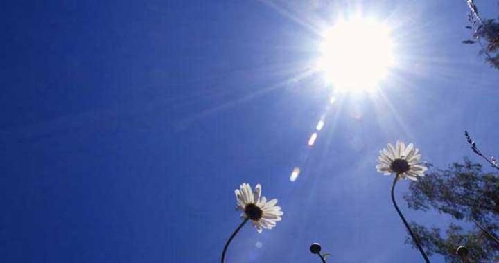 الطقس: أجواء حارة نسبيا