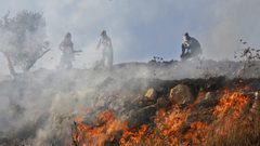 نشوب حريق كبير في أحراش وادي القف غرب الخليل