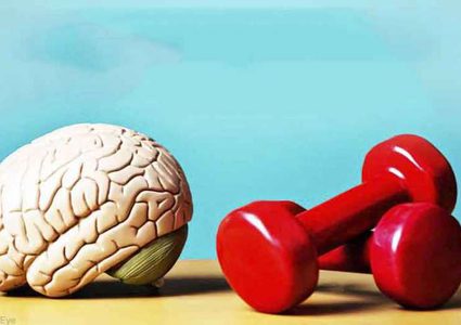 دراسة: التمارين الرياضية القاسية تؤثر على عمل الدماغ