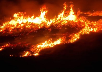 حريق كبير بين كفر كنا و"نوف هجليل"