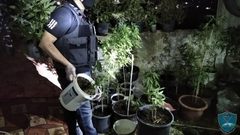 الشرطه تداهم وكراً لمتعاطي ومروجي المخدرات في بيت لحم