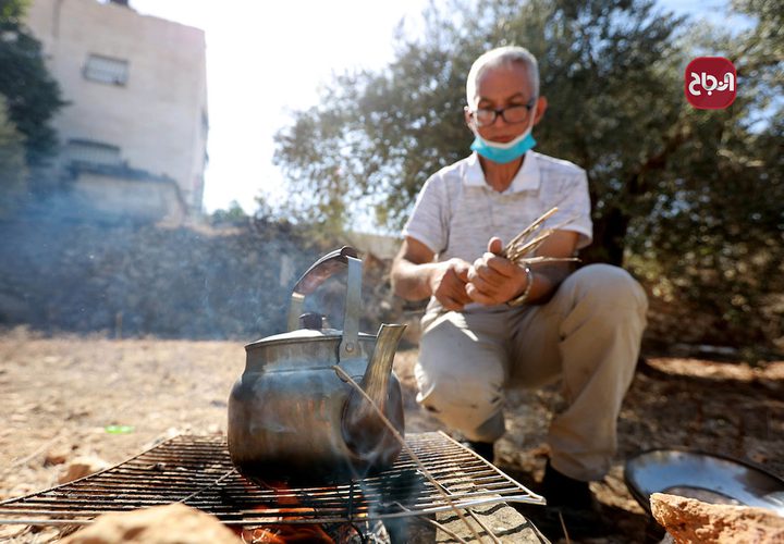 قطف ثمار الزيتون في مخيم شعفاط بالقدس