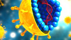 دراسة: المناعة ضد كورونا لا تستمر أكثر من بضعة أشهر