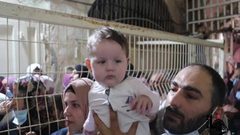 الاحتلال يمنع المواطنين من دخول الحرم الإبراهيمي ويعتدي عليهم