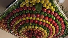 تحضيرات عيد العرش السامري