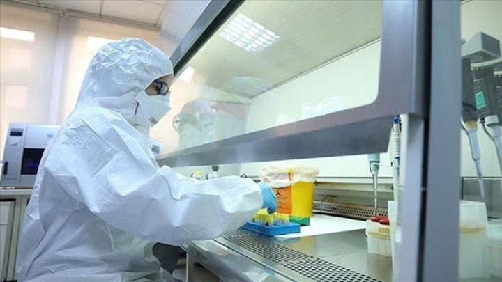 8 وفيات و504 اصابات جديدة بكورونا خلال 24 ساعة