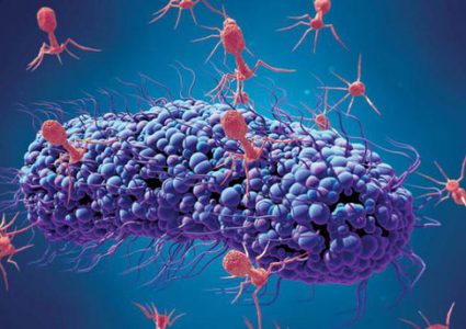 علماء يؤكدون وجود 850 ألف فيروس قد تنتقل من الحيوانات للبشر