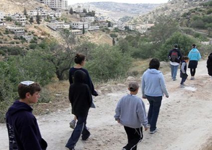 نابلس: مستوطنون يسرقون مشتلا ويعيثون فيه خرابا في قرية الساوية