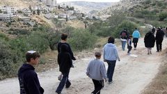 نابلس: مستوطنون يسرقون مشتلا ويعيثون فيه خرابا في قرية الساوية