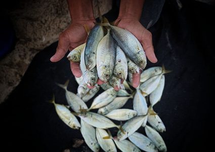 الصيد بالصنارة في بحر رفح جنوب قطاع غزة