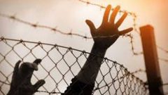 هيئة الأسرى: المؤسسات الدولية مطالبة بالوقوف عند مسؤولياتها