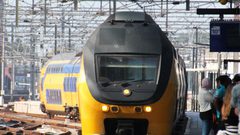 هولندا: ذيل حوت ينقذ قطار من كارثة مدمرة