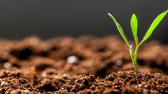 علماء يحذرون من خطر تحرر كربون التربة