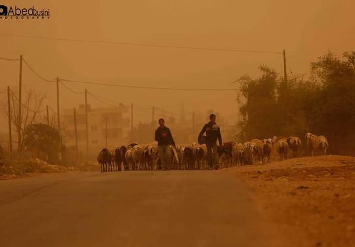 لقطات خريفية من الحياة والطبيعة في منطقة الأغوار الفلسطينية الشمالية
عدسة : عبدالرحيم قوصيني