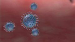 علماء: الطفرات هي من تزيد من شراسة فيروس كورونا