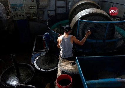 جولة في معصرة الزيتون الحجرية