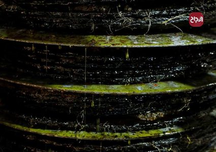 جولة في معصرة الزيتون الحجرية