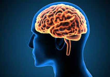 ما هي المكملات الغذائية التي تحسن أداء الدماغ ؟