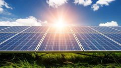 القبج:محطة النجاح للطاقة الشمسية ستوفر 30-40% من احتياجات الجامعة