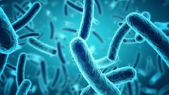 كيف تتمكن البكتيريا من العيش في الفضاء ؟