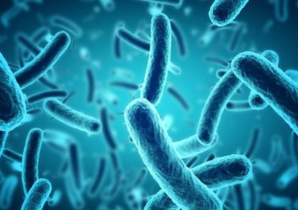 كيف تتمكن البكتيريا من العيش في الفضاء ؟