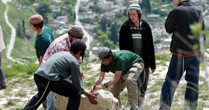 سلفيت: مستوطنون و الاحتلال يضخون مياه عادمة في الاراضي الزراعية