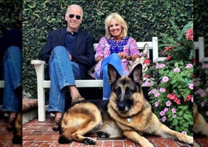 "ميجور" أول كلب يدخل البيت الأبيض!