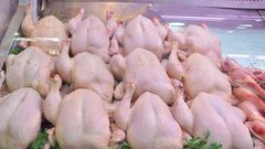 أجزاء الدجاج الخطرة على الصحة