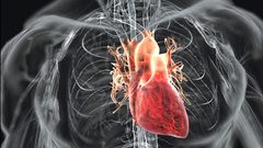 شاهد إنقاذ قلب متبرع بعد تحطم مروحية