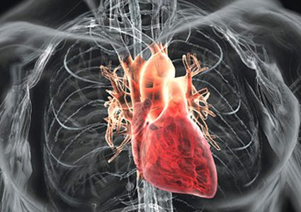 شاهد إنقاذ قلب متبرع بعد تحطم مروحية