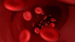 ما هو البروتين الذي يحمي "ينبوع الشباب'' في الدم ؟