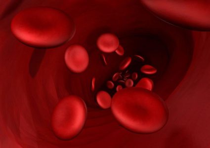 ما هو البروتين الذي يحمي "ينبوع الشباب'' في الدم ؟